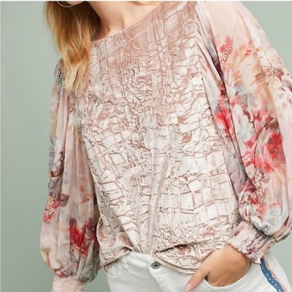Meadow Rue Anthropologie | Crushed Velvet Blouse Sheer Floral Long Sleeves XS